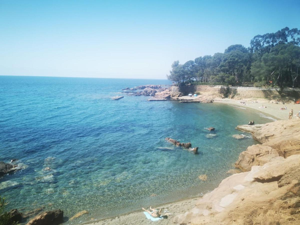Mobil Home Neuf Camping L Ile Dor Plage St Raphael Avec Piscine Saint-Raphaël Eksteriør billede